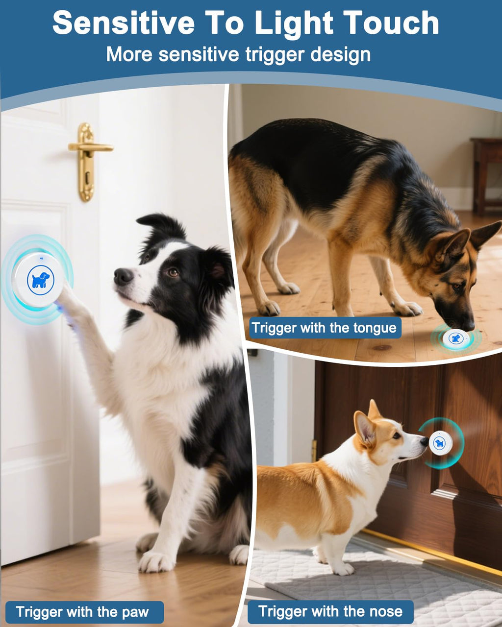 Dog Door Bell, Wireless Dog Doorbells for Potty Training – Dog Bells to Go Outside, 1000Feet Range, Waterproof Button, 55 Melodies & 5 Notification Modes (3 Buttons)