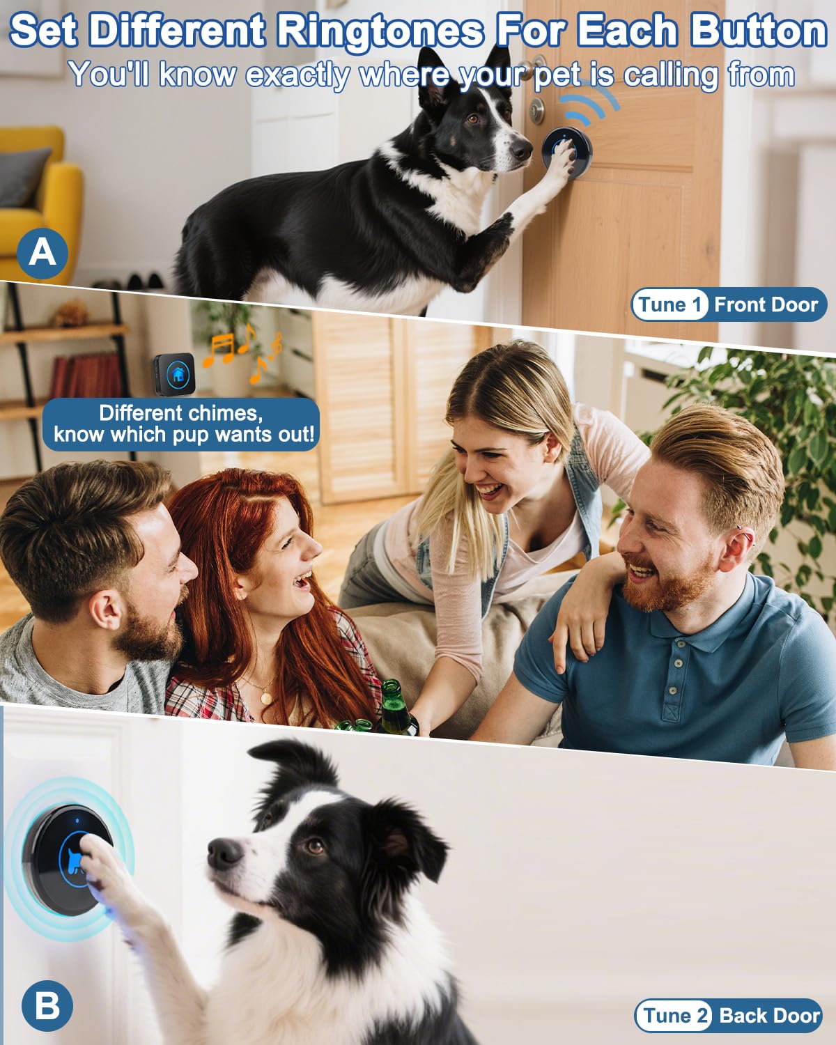 Dog Door Bell, Wireless Dog Doorbells for Potty Training – Dog Bells to Go Outside, 1000Feet Range, Waterproof Button, 55 Melodies & 5 Notification Modes (3 Buttons)