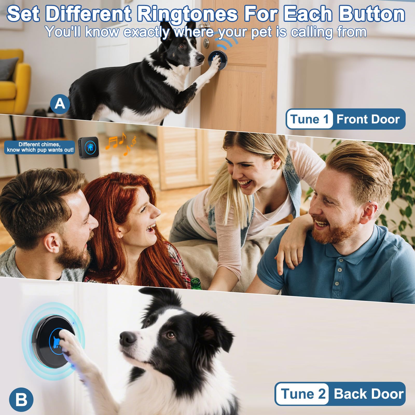 Dog Door Bell, Wireless Dog Doorbells for Potty Training – Dog Bells to Go Outside, 1000Feet Range, Waterproof Button, 55 Melodies & 5 Notification Modes (3 Buttons)